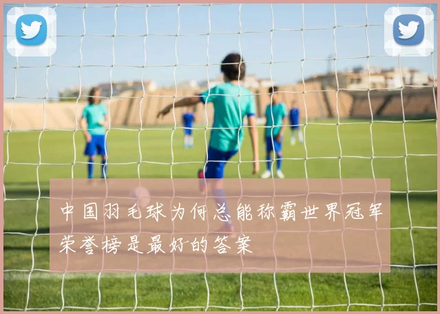 中国羽毛球为何总能称霸世界冠军荣誉榜是最好的答案