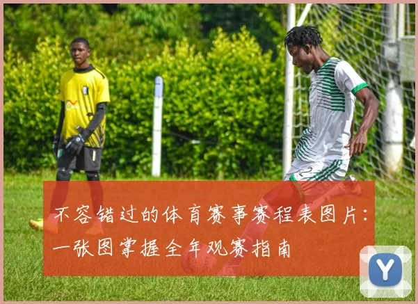 不容错过的体育赛事赛程表图片：一张图掌握全年观赛指南